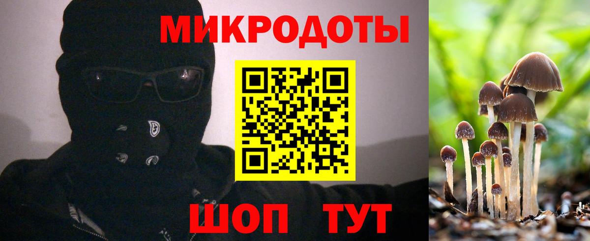 Галлюциногенные грибы Psilocybine cubensis Когалым